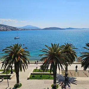 Pini *** Saranda